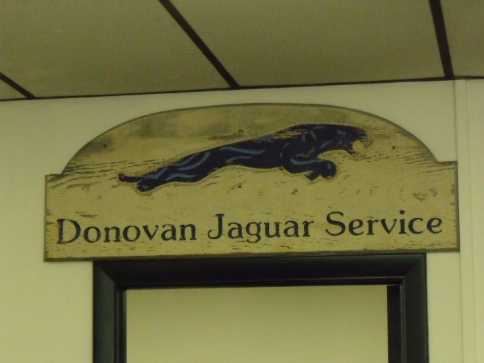 Donovan Jaguar