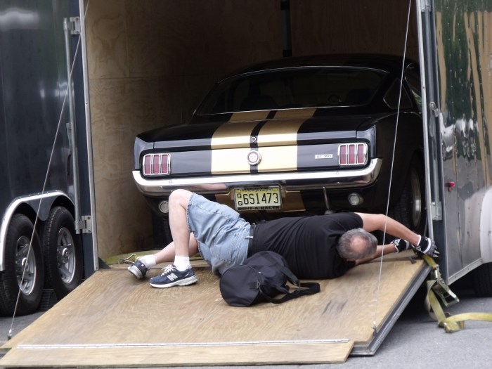 Not all rally cats get driven back home.