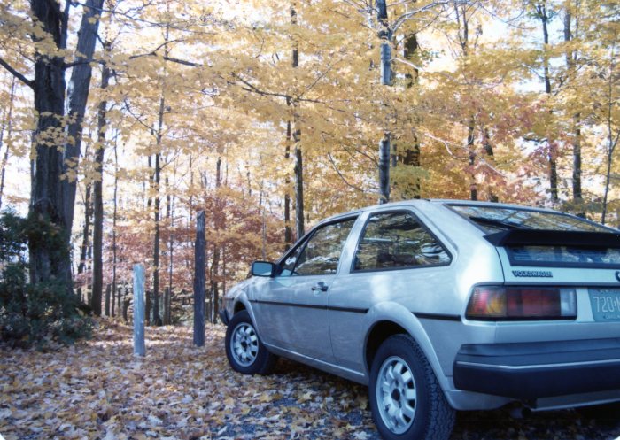 Another artistic angle, this time with fall foliage. 