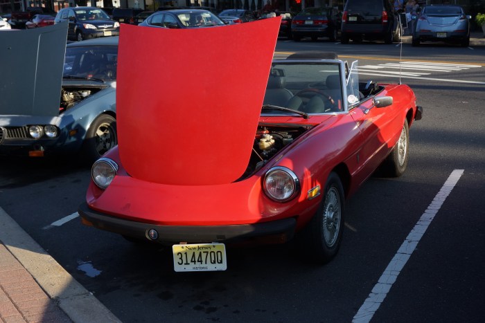 Spider in obligatory red