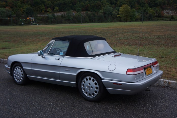 Enzo's Alfa Spider