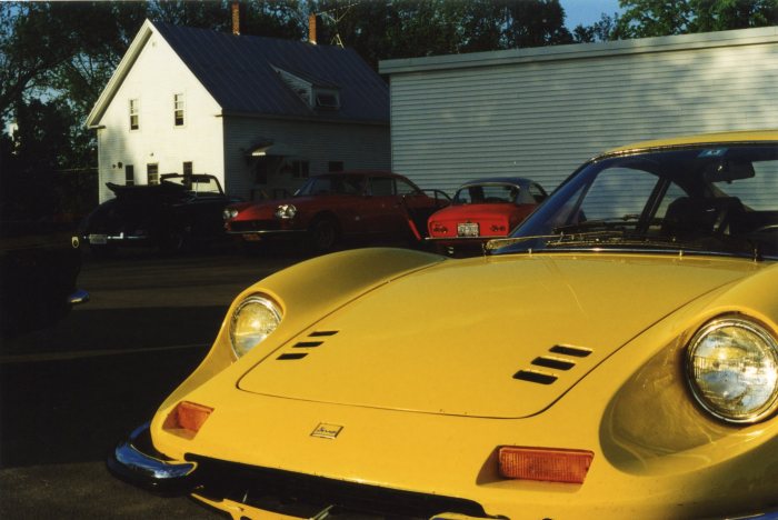 The yellow Dino glows in the sunset